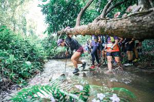 BIB: 
                            <button type="button" onclick="openModal(25466327)" class="btn btn-primary btn-sm float-right btn-popup" data-toggle="modal" data-target=".modal-high-quality">
                        <i class="fas fa-shopping-cart"></i> Add to Cart
                    </button>
                                            <button type="button" onclick="isThisMe(25466327, true)" class="btn btn-success btn-sm float-right btn-popup btn-isme hidden" data-toggle="tooltip" data-placement="bottom" title="นี่คือรูปของคุณใช่ไหม คลิกที่นี่เพื่อเอาเข้าอัลบั้ม">
                        <i class="fas fa-plus"></i> Add to album
                    </button>
                    <button type="button" onclick="isThisMe(25466327, false)" class="btn btn-warning btn-sm float-right btn-popup btn-isnotme hidden">
                        <i class="fas fa-ban"></i> Remove from album
                    </button>